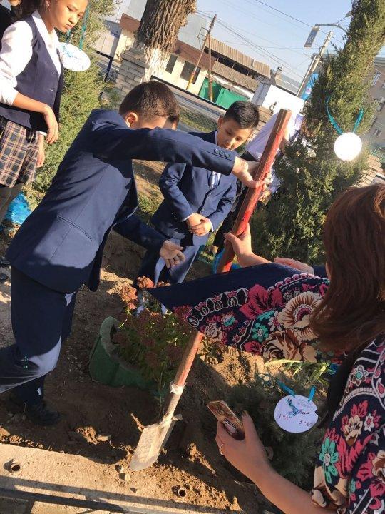 Тал егу акциясы