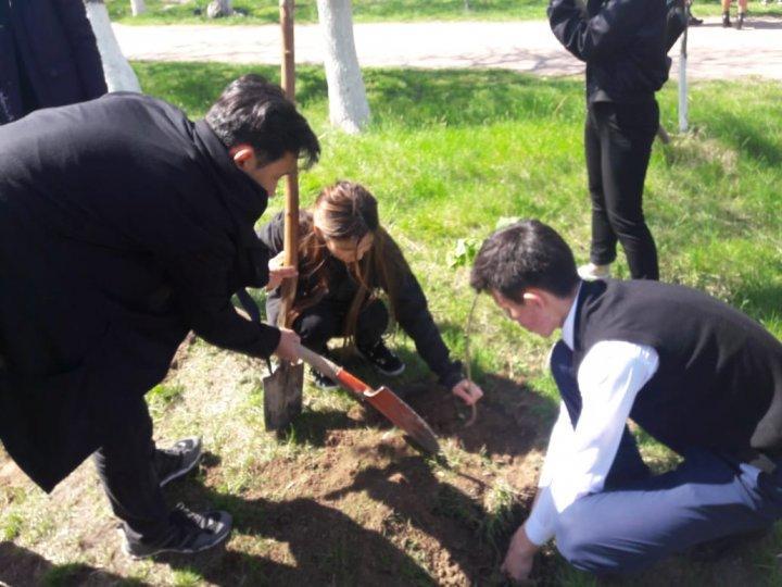 Түлектер аллеясына тал егу акциясы